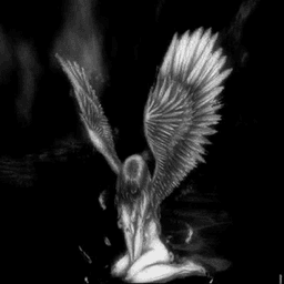 your_favorite_incubus's avatar